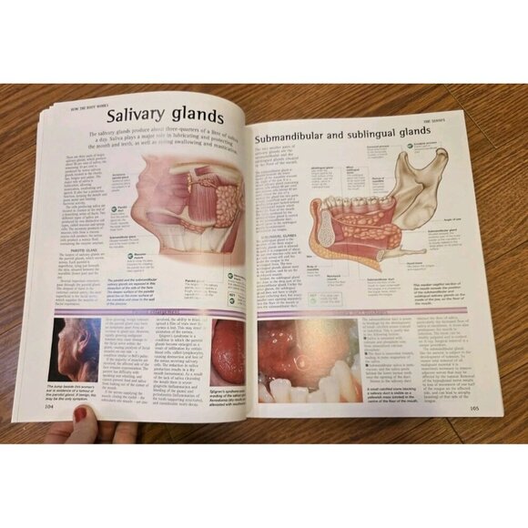 The Human Body An Essential Guide To How The Body Works By Dr.‎ Peter Abrahams - Picture 7 of 9